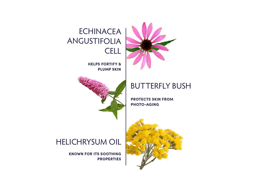 Naturopathica Plant Cell Booster Serum