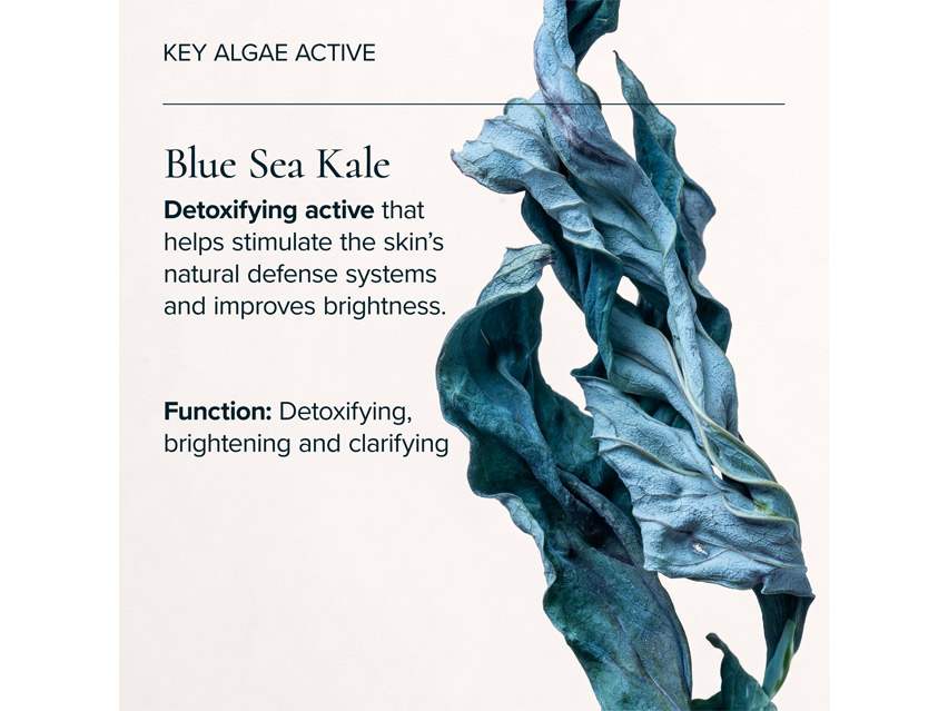 MARA Sea Kale Sunscreen Serum SPF 30