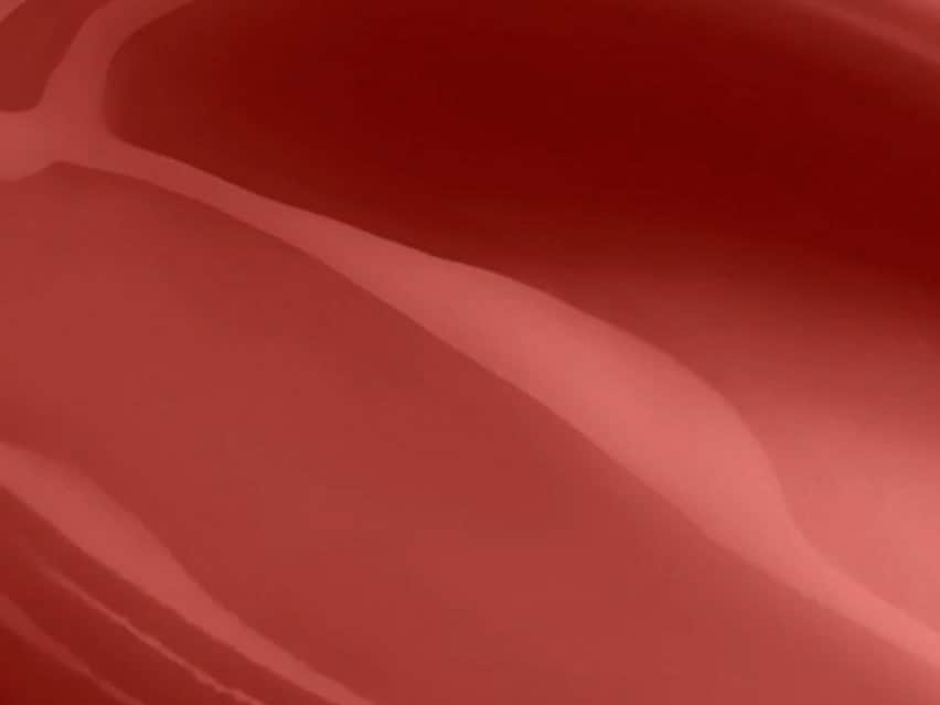 Youngblood Mineral Cosmetics Ever Glow Lip Oil