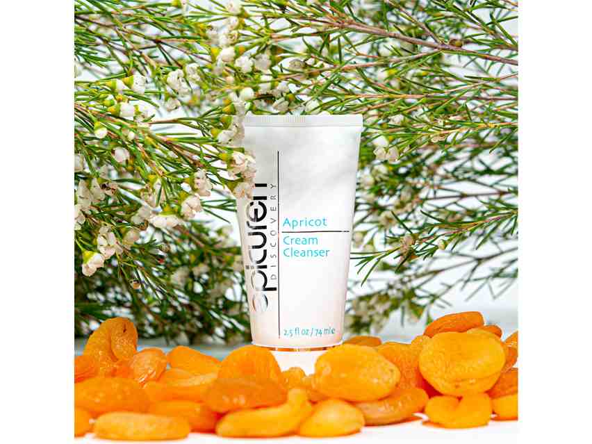 Epicuren Discovery Apricot Cream Cleanser