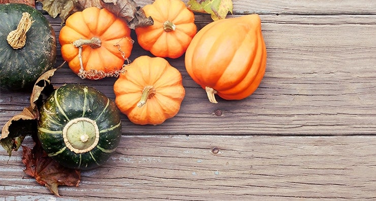 4 Reasons You Need Pumpkin in More Than Just Your Latte