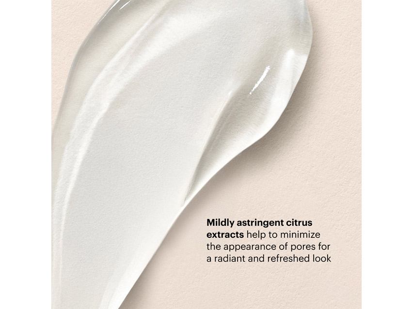 SkinMedica AHA/BHA Exfoliating Cleanser