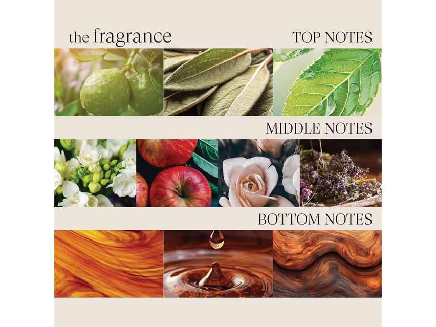 L&#39;ANZA Healing Style Smoother Balm