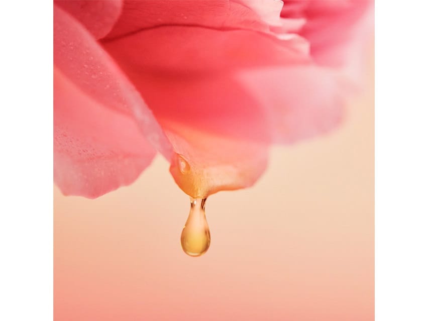 Jurlique Rare Rose Facial Oil