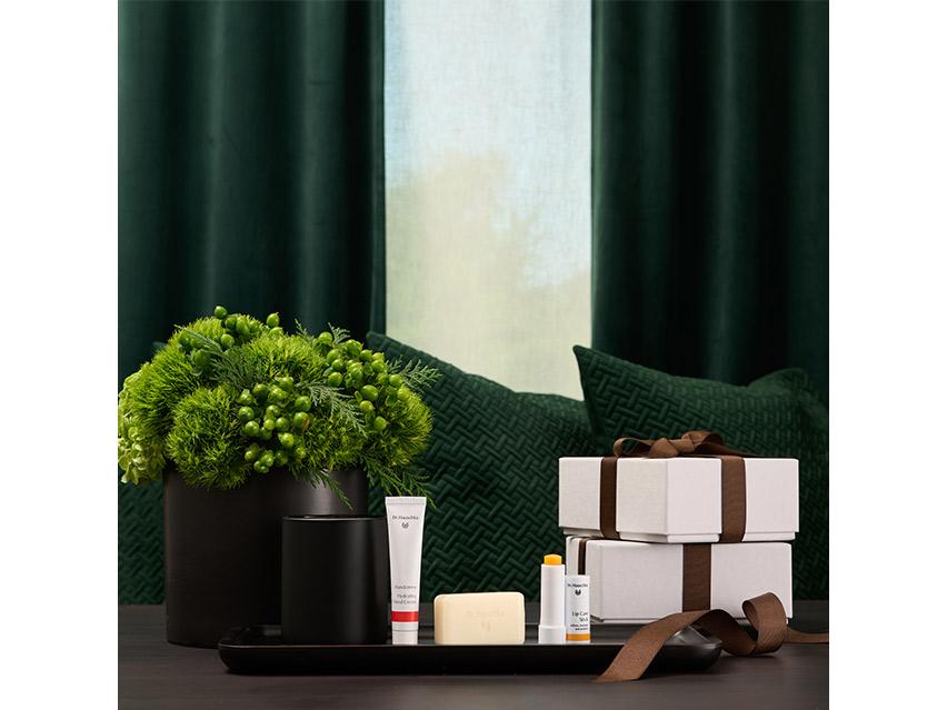 Dr. Hauschka Skincare Discovery Set - Limited Edition