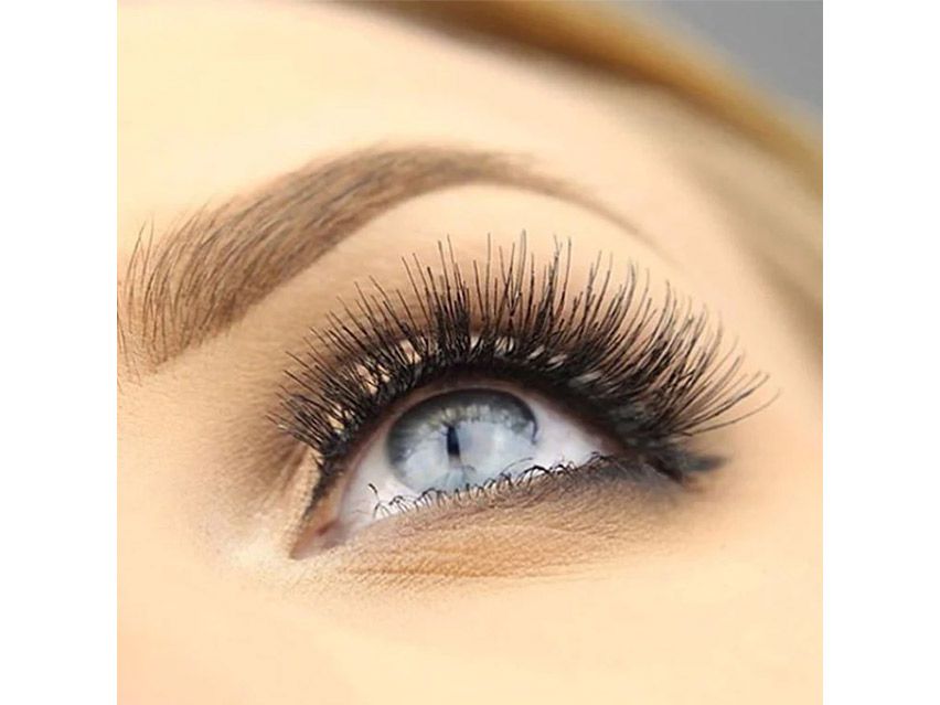 SWEED Gabbi Pro Lashes