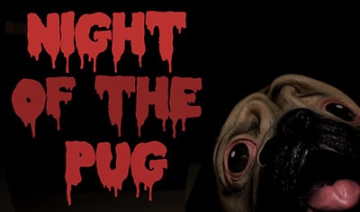 Night of the Pug