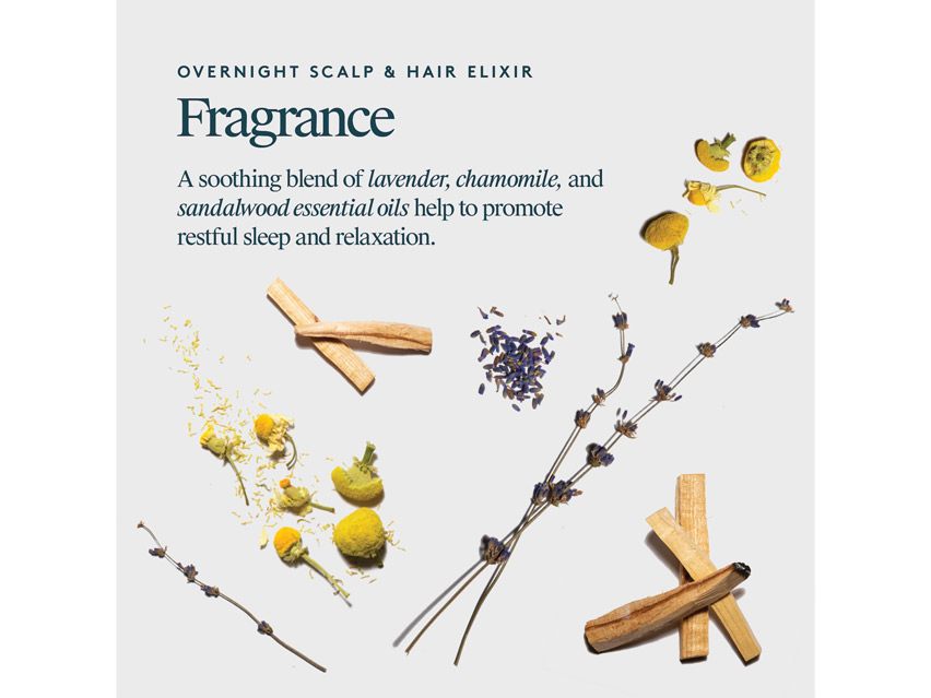 VIRTUE Recovery Overnight Scalp &amp; Hair Elixir