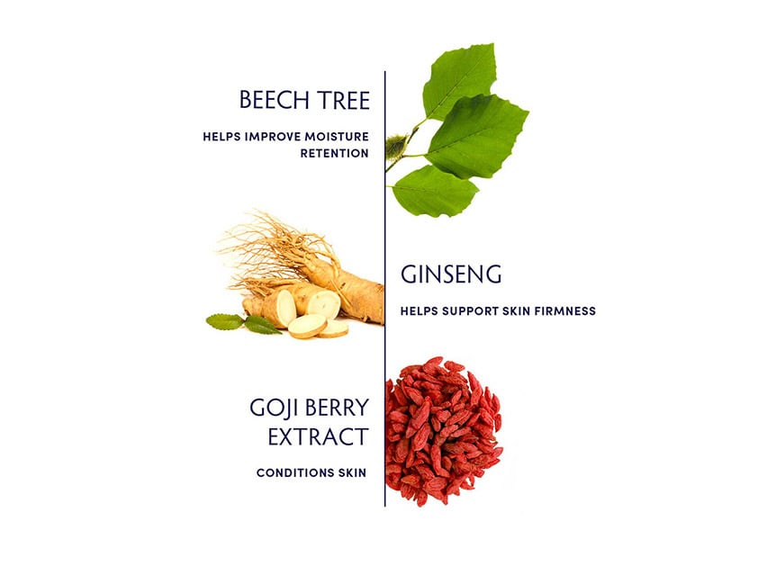 Naturopathica Beech Tree & Ginseng Replenishing Moisturizer