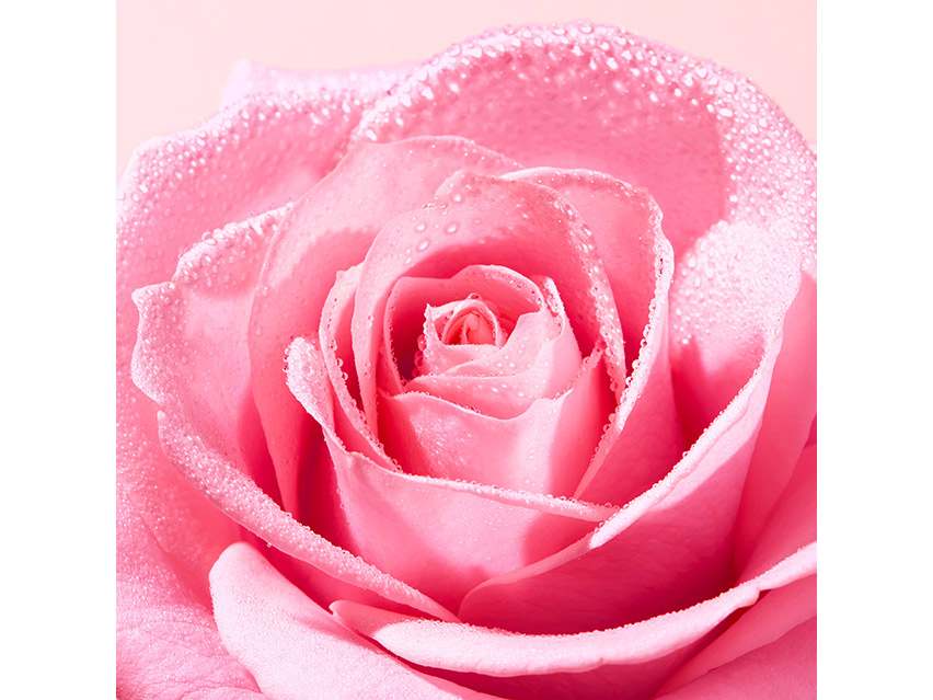 NUXE Rose Refreshing Tonic Mist