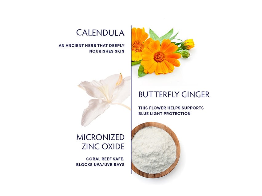 Naturopathica Calendula & Butterfly Ginger Eye Cream SPF 40