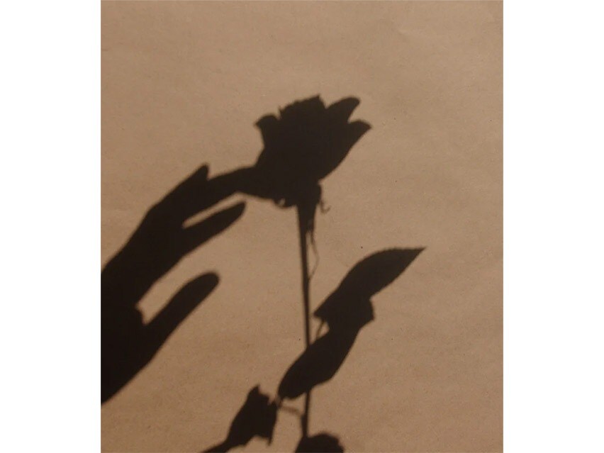 KORRES Apothecary Wild Rose Day-Brightening Gel-Cream