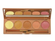 Colorescience Corrector Palette Global