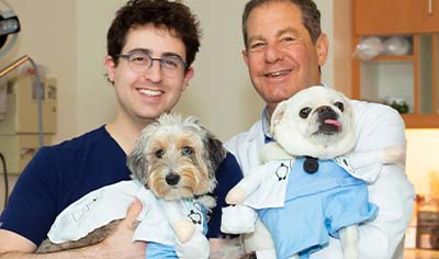 Two male doctors stand holding their dogs wearing doctor costumes. One dog is a white pug and one dog is a multicolor aussiedoodle.