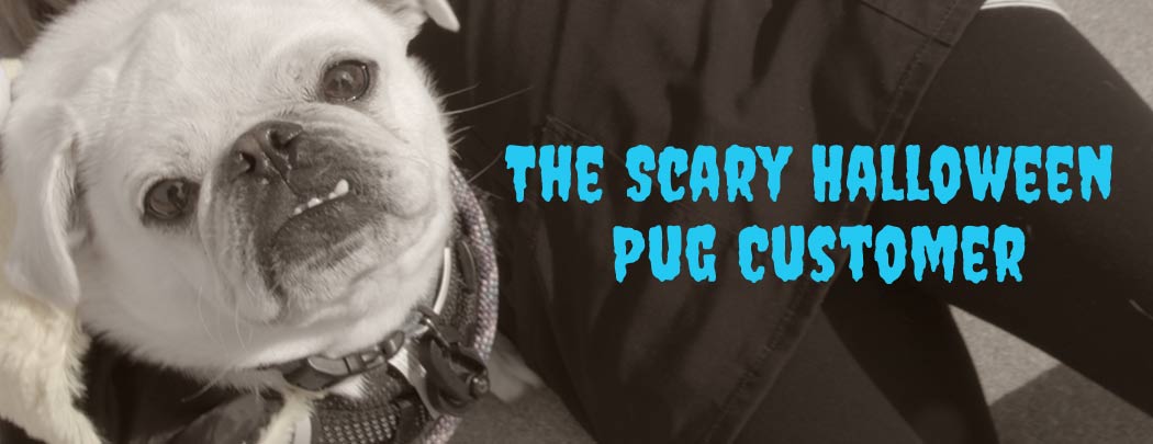 The Scary Halloween Pug Customer