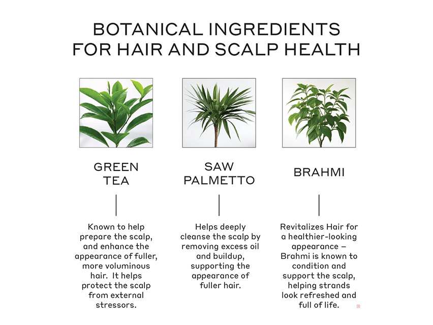 Zenagen Revolve Men&#39;s Thickening Shampoo