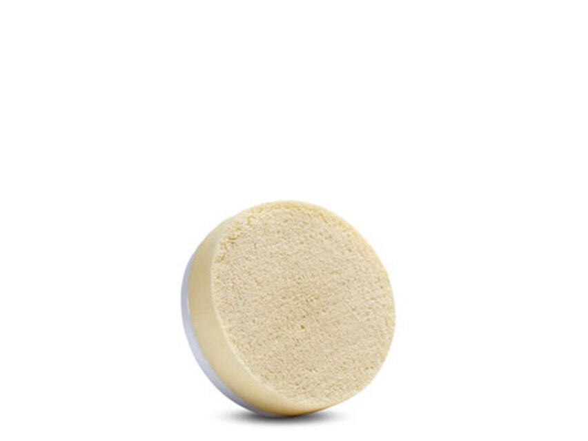 pulsaderm Replacement Brushes - Microderm Sponge