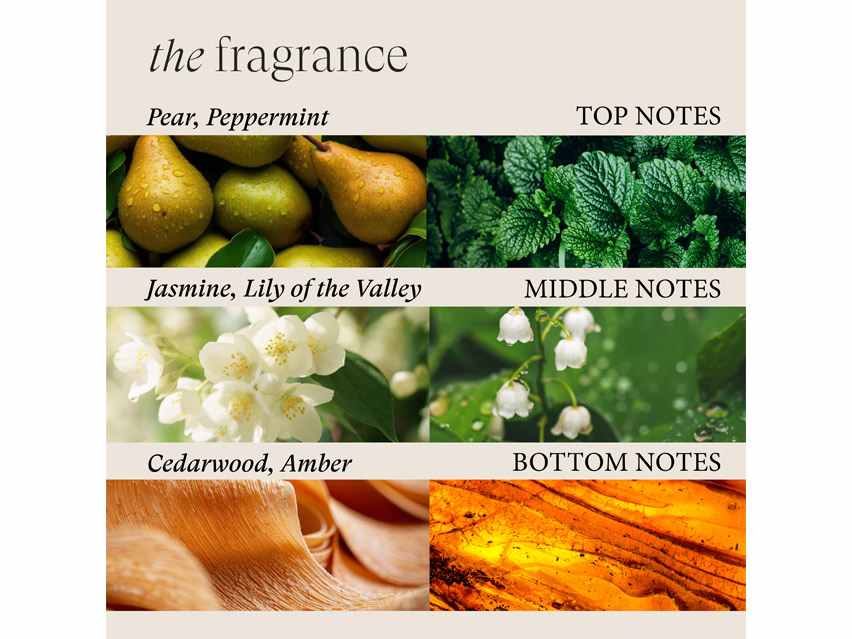 L'ANZA Scalp Therapy Stimulating Conditioner