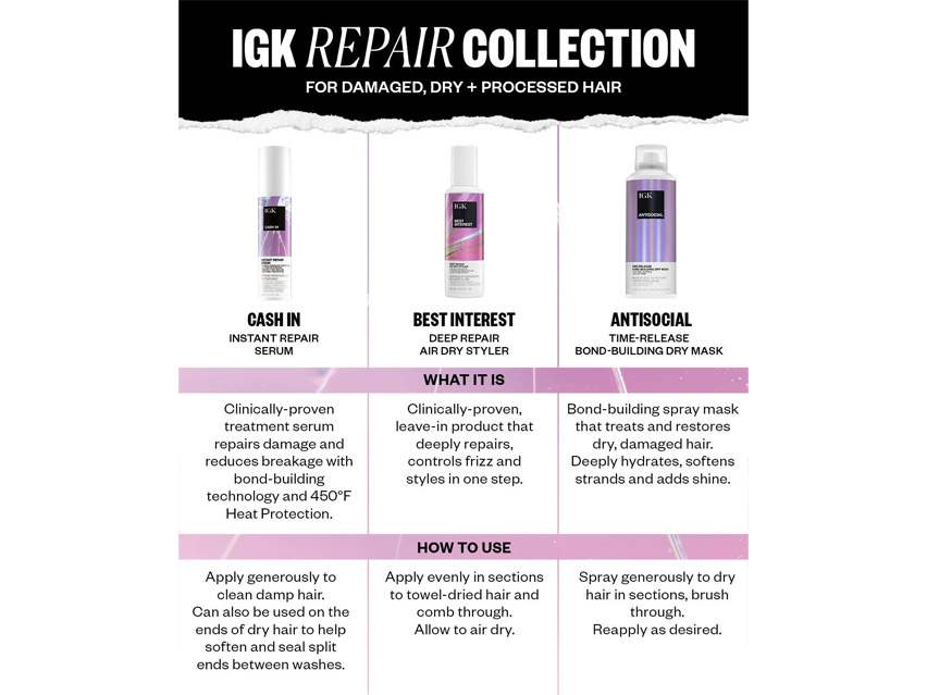 IGK Best Interest Deep Repair Air Dry Styler