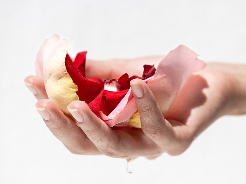 KORRES Apothecary Wild Rose Brilliant Priming Gel-Moisturizer
