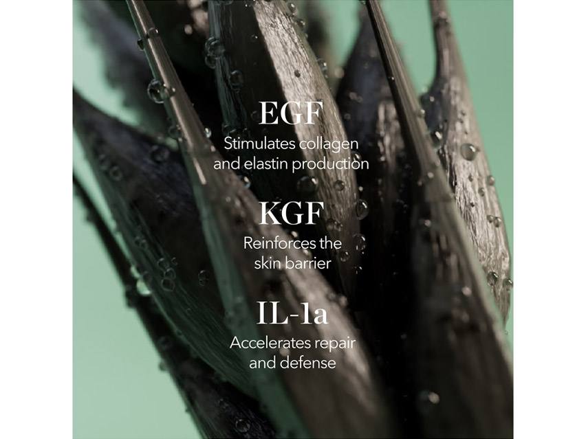 BIOEFFECT 3XGF Recovery Eye Serum