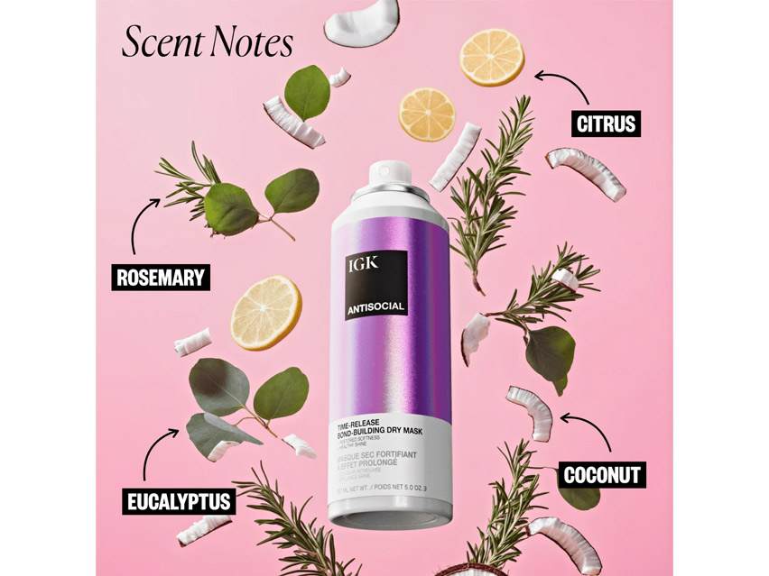 IGK Antisocial Time-Release Bond-Building Dry Hair Mask