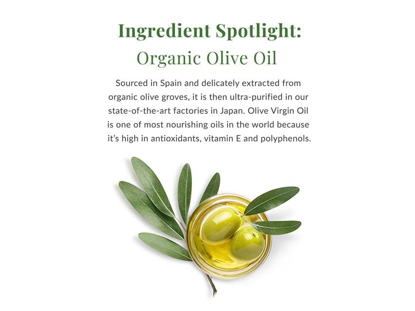 DHC Olive Virgin Oil Essential Cream