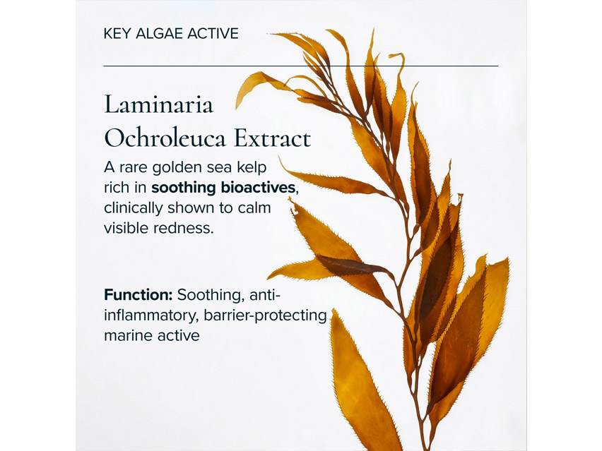 MARA Algae Retinol Face Oil