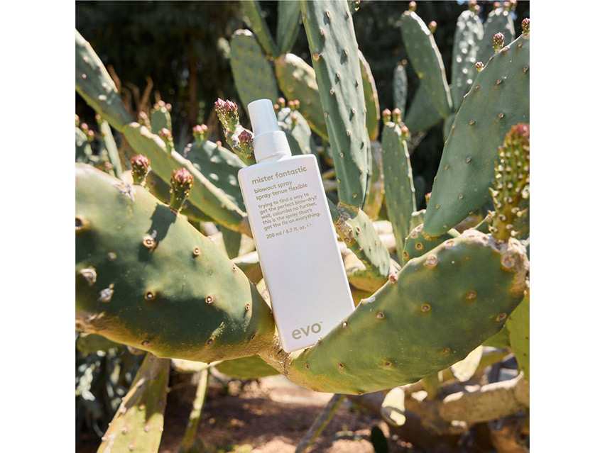 evo Mister Fantastic Blowout Spray