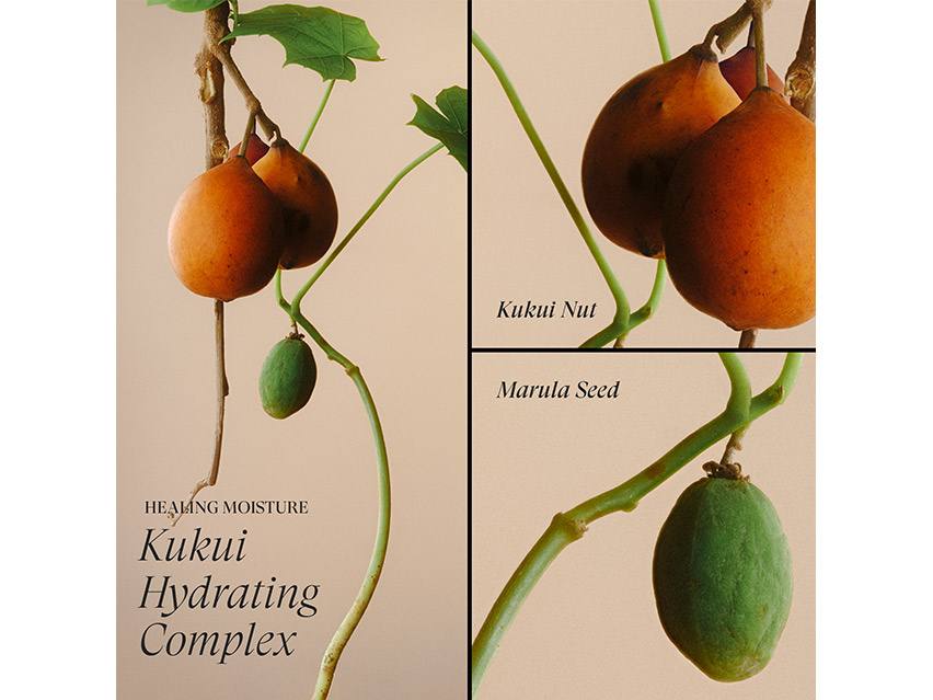 L&#39;ANZA Healing Moisture Conditioner