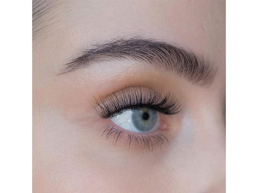 SWEED Gabbi Pro Lashes