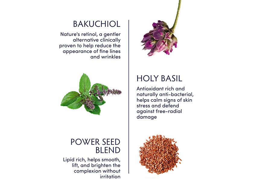 Naturopathica Holy Basil &amp; Bakuchiol Ageless Night Oil
