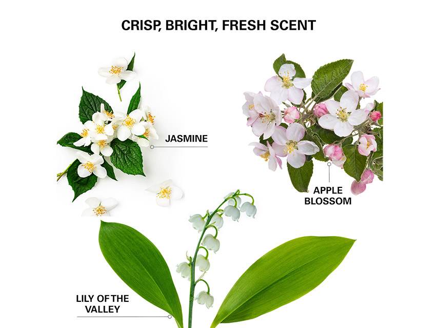 Color Wow Insta-Wow Advanced Dry Shampoo