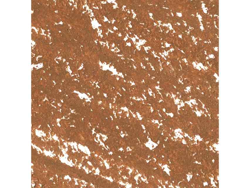 Ere Perez Almond Brow Pencil