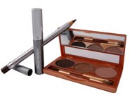 Colorescience Pro Brows to Go Kit