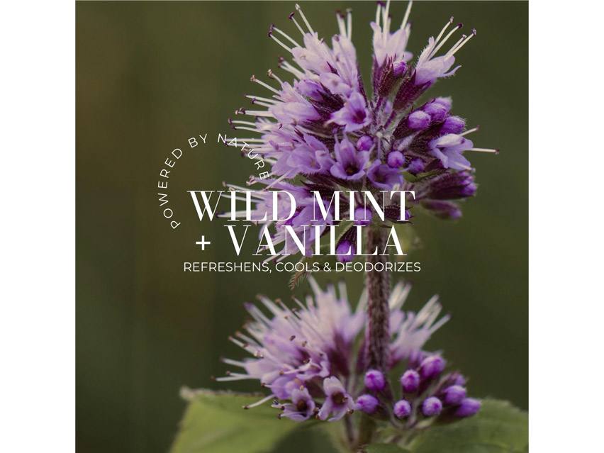 Fitglow Beauty Deodorant Spray