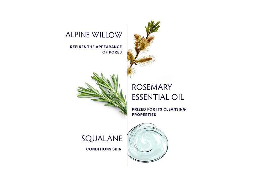 Naturopathica Rosemary Mattifying Moisturizer