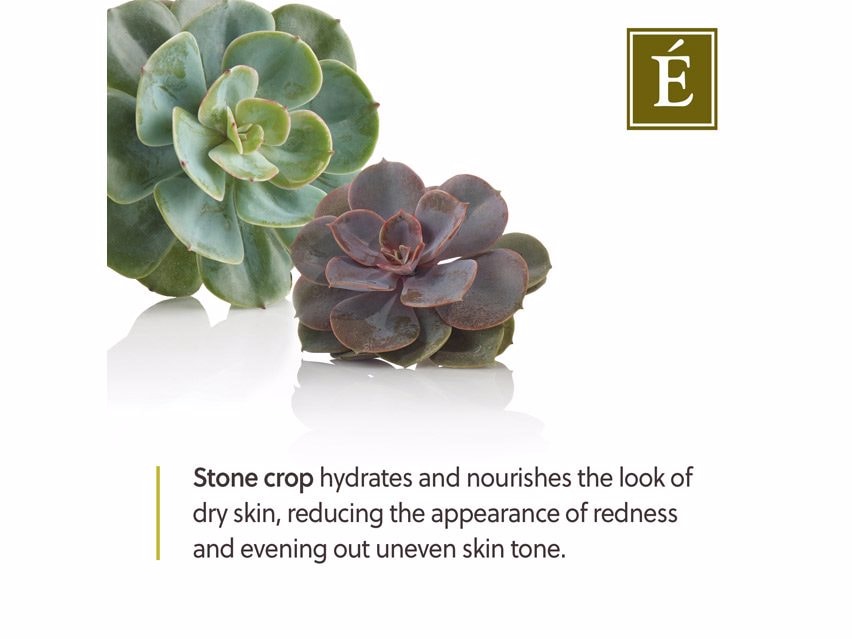 Eminence Organics Stone Crop Masque
