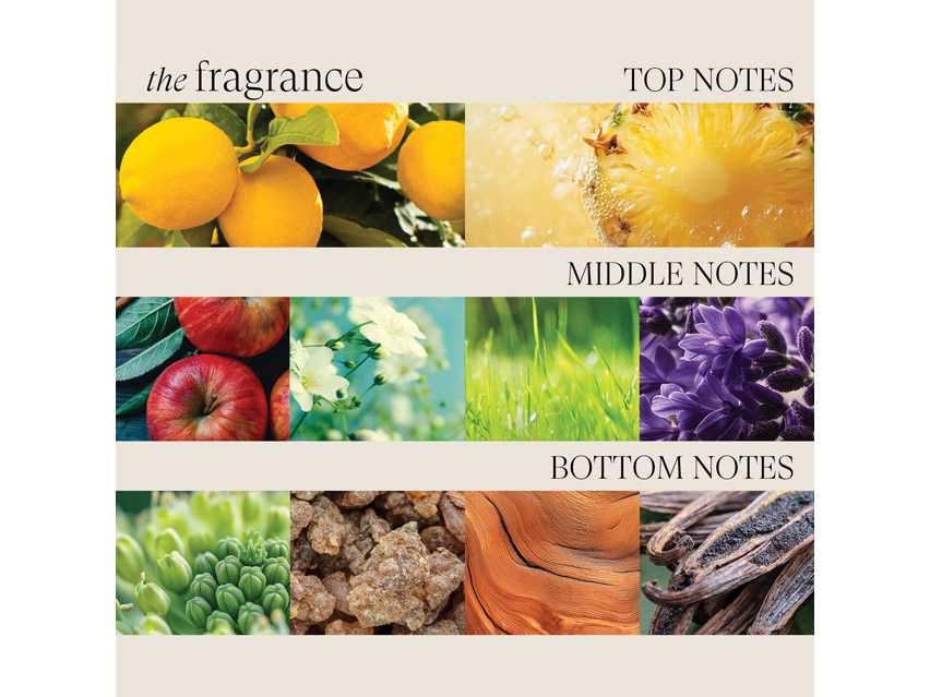 L&#39;ANZA Healing ColorCare Hair Masque