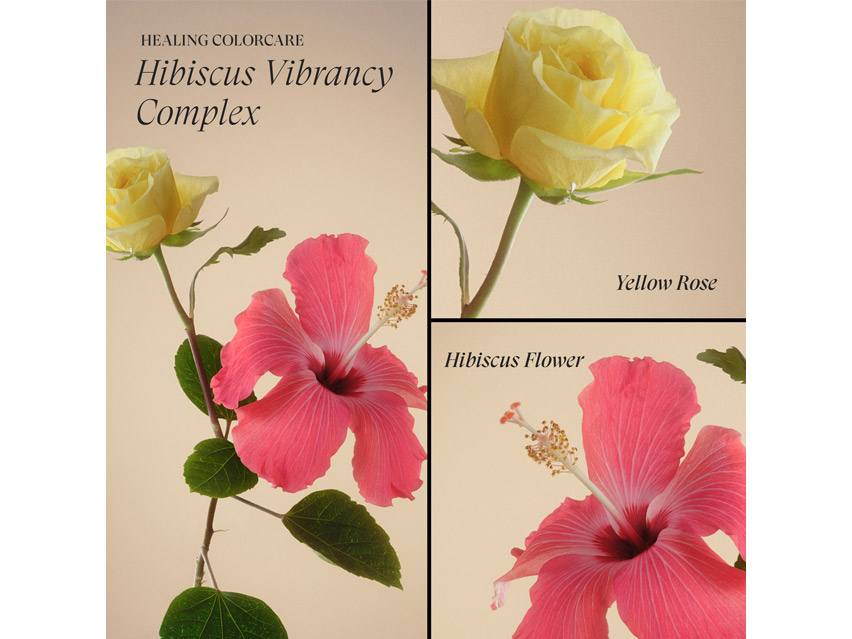 L&#39;ANZA Healing ColorCare Hair Masque