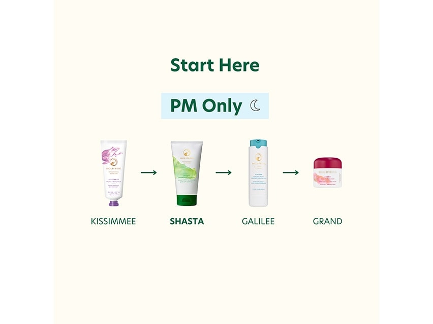 HoliFrog Shasta AHA Exfoliating Daily Cleanser