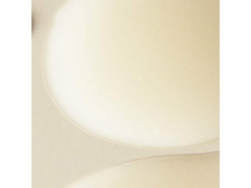 Kat Burki Bio-Ferment Scalp &amp; Hair Treatment