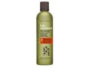 Peter Lamas Hair Solutions Energizing Conditioner