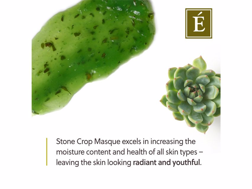 Eminence Organics Stone Crop Masque