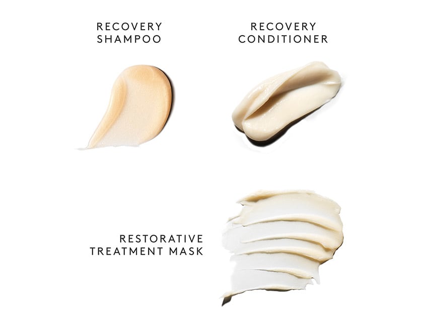 VIRTUE Recovery Discovery Set - Repair & Strengthen