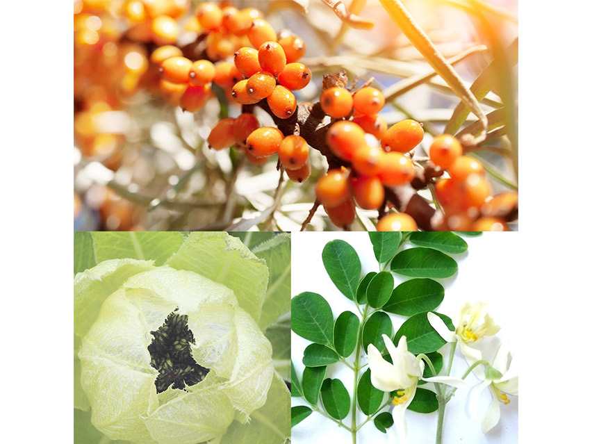 Kerstin Florian Rejuvenating Vitalessence Serum-Oil