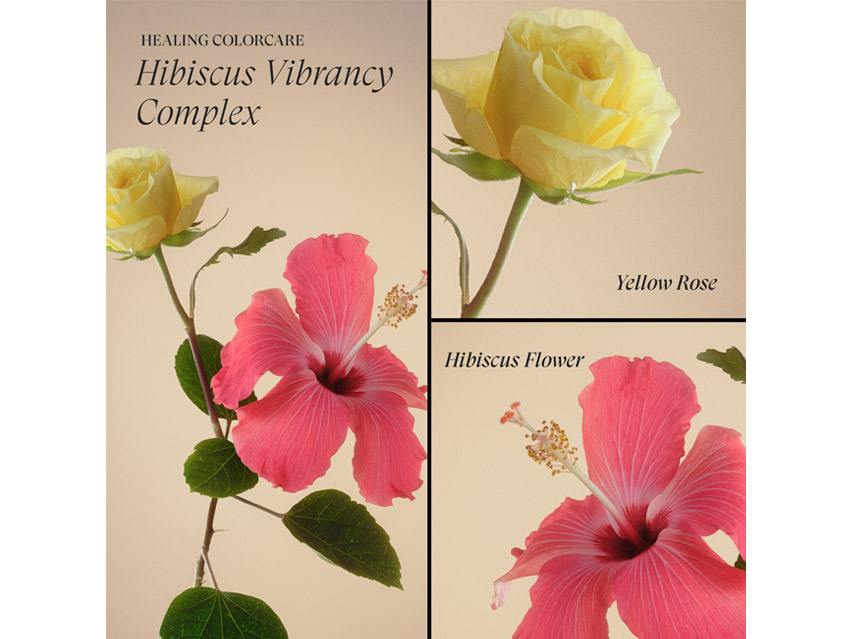 L&#39;ANZA Healing ColorCare Trauma Treatment