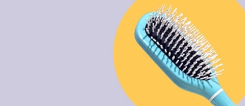 Viviscal Detangling Brush GWP