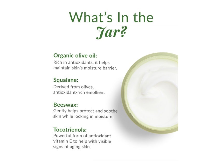 DHC Olive Virgin Oil Essential Cream