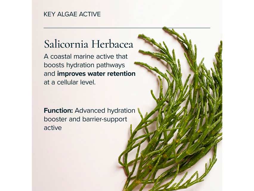 MARA Flower Acid Algae Serum